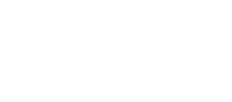 Southwark council home